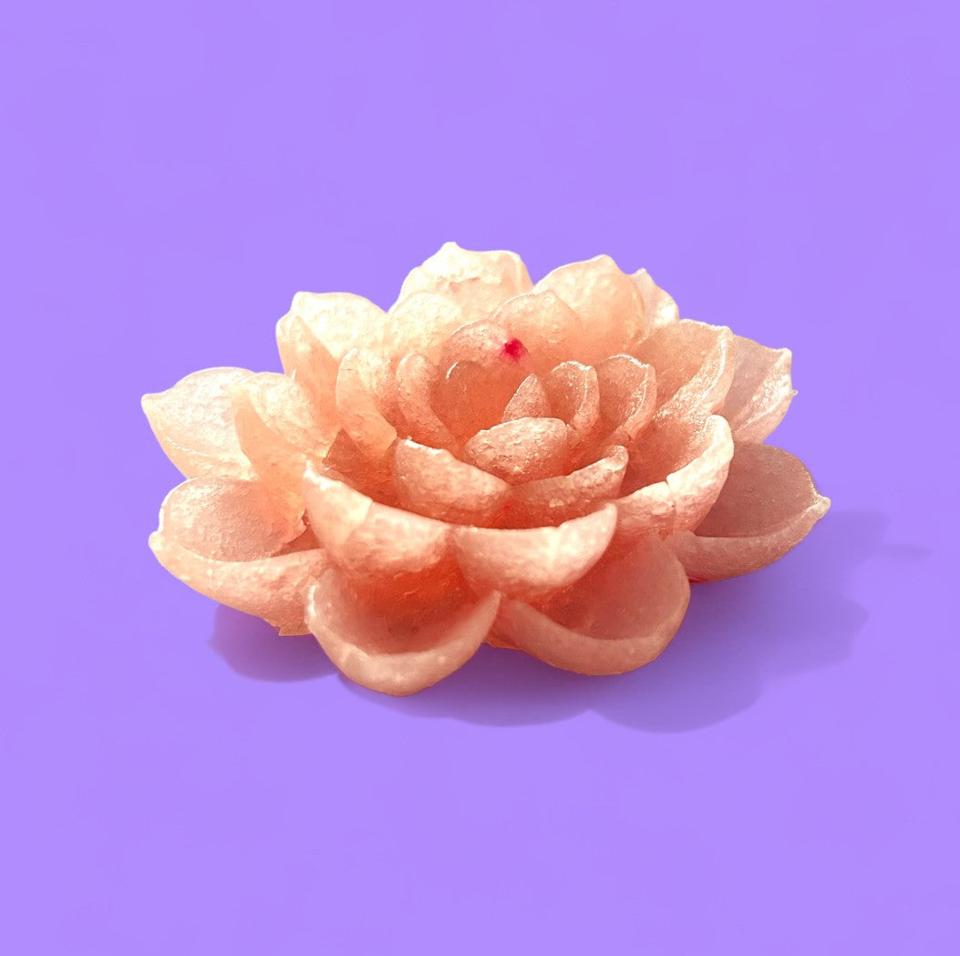 Percy's Lotus Crystal